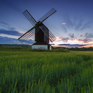 Windmill in Netherland - Obrázkek zdarma pro 208x208