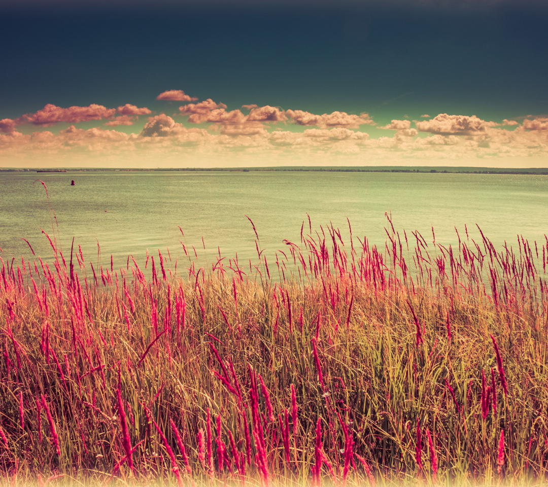 Sfondi Pink Landscape 1080x960