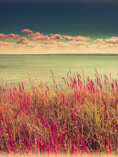 Pink Landscape screenshot #1 240x320