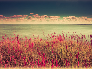 Screenshot №1 pro téma Pink Landscape 320x240