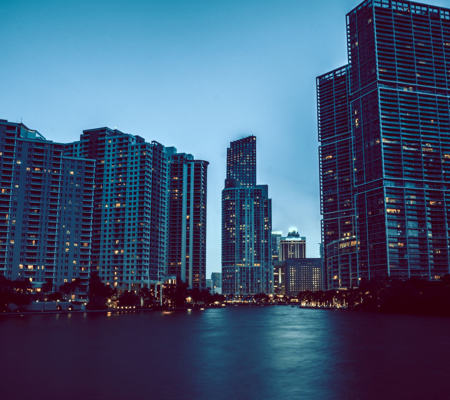 Das Miami Night HD Photo Wallpaper 1440x1280