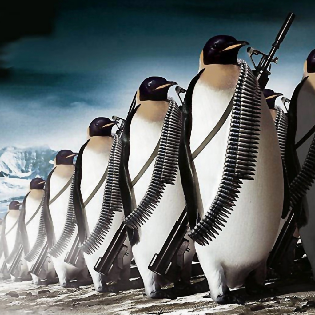 Fondo de pantalla Penguins Soldiers 1024x1024