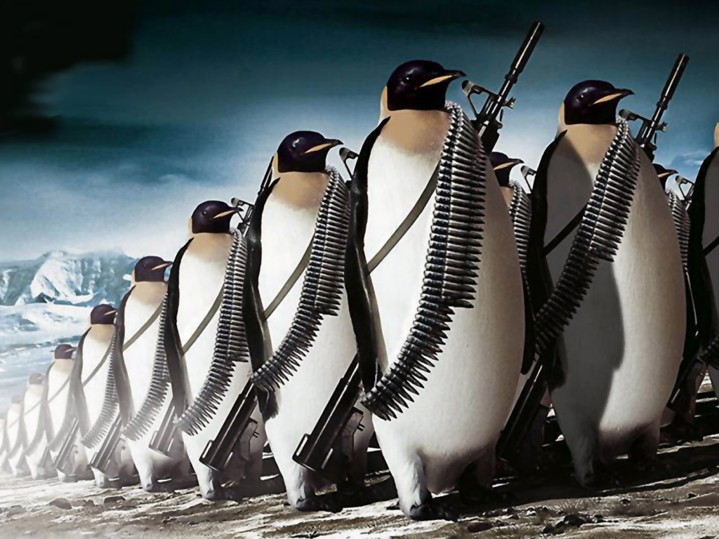 Fondo de pantalla Penguins Soldiers 1024x768