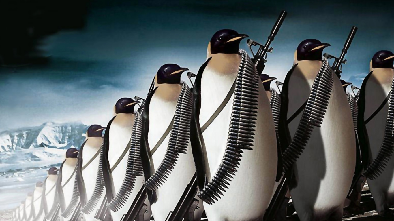 Screenshot №1 pro téma Penguins Soldiers 1366x768