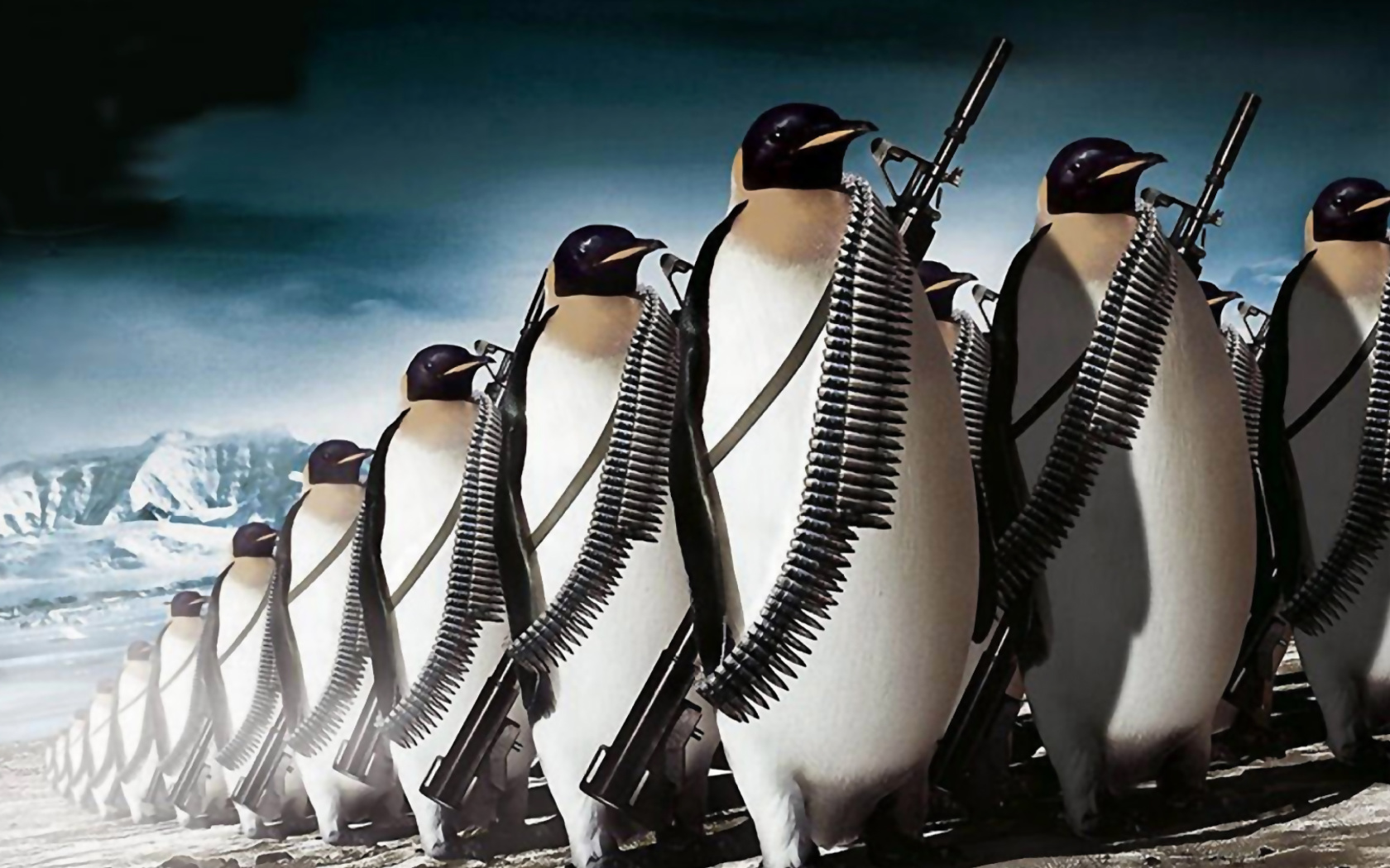 Penguins Soldiers wallpaper 1680x1050