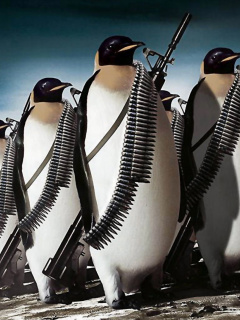 Fondo de pantalla Penguins Soldiers 240x320