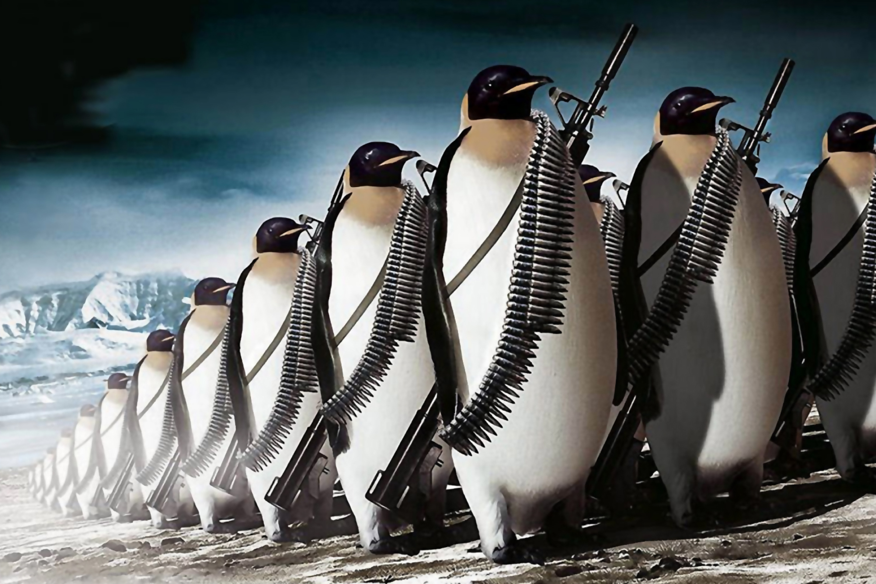 Screenshot №1 pro téma Penguins Soldiers 2880x1920