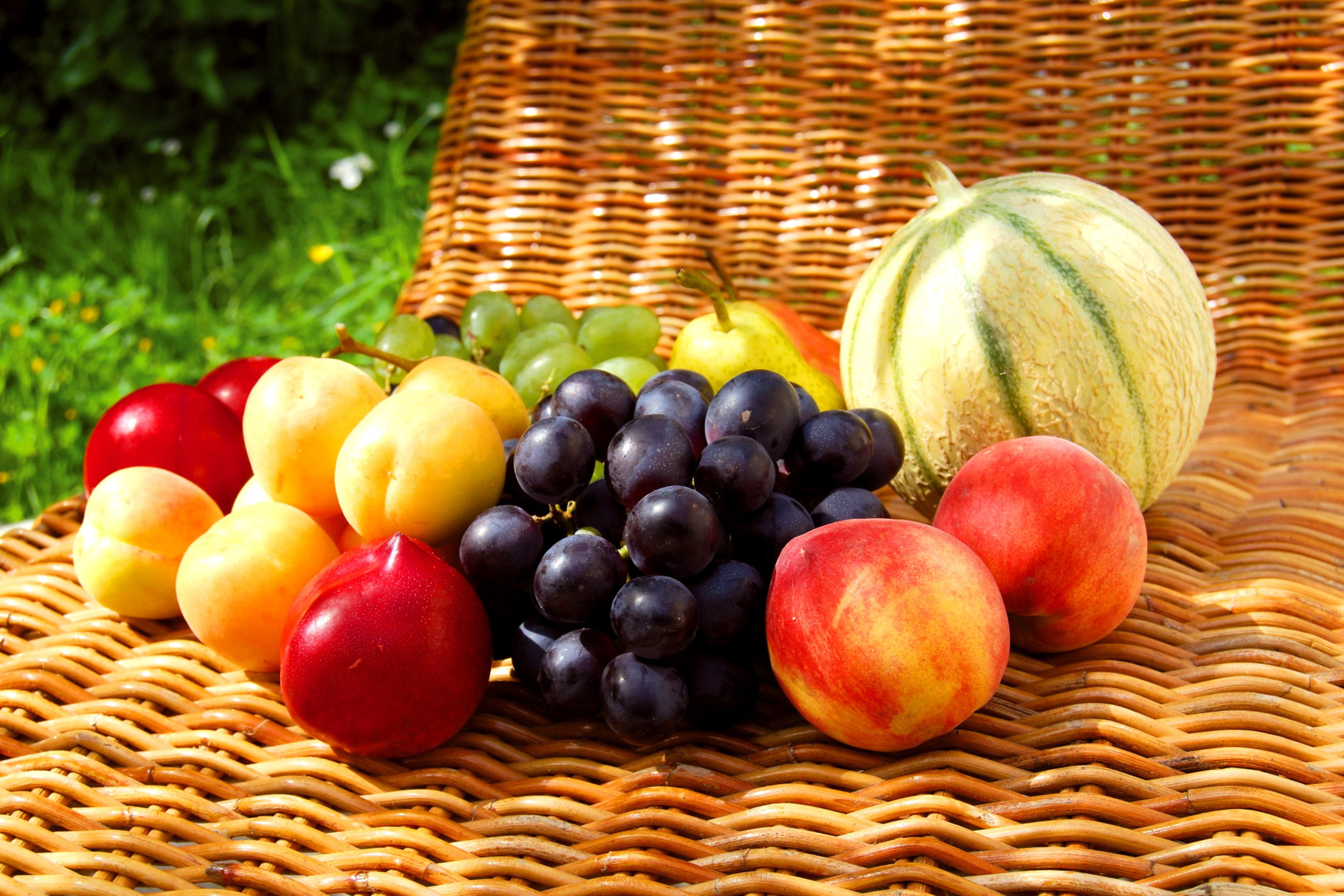 Melons, apricots, peaches, nectarines, grapes, pear screenshot #1 2880x1920