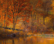 Screenshot №1 pro téma Colorful Autumn Trees near Pond 176x144