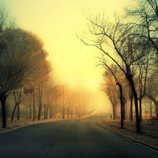 Autumn Road - Obrázkek zdarma pro 2048x2048