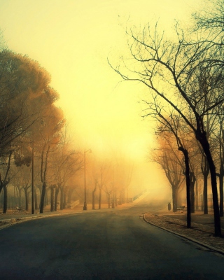 Autumn Road - Obrázkek zdarma pro 640x1136