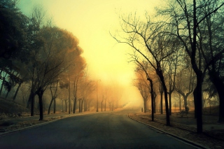 Autumn Road - Obrázkek zdarma pro 960x800