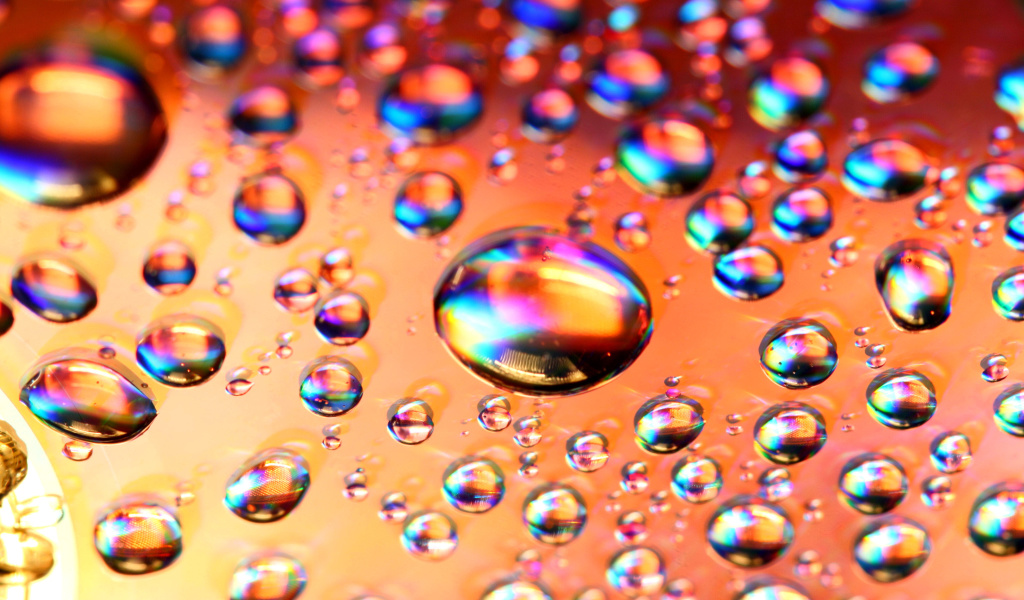 Обои Refraction in Water 1024x600