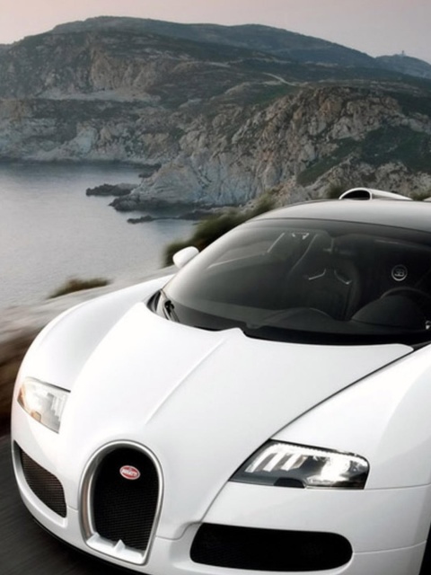 Das Bugatti Veyron Grand Sport Wallpaper 480x640