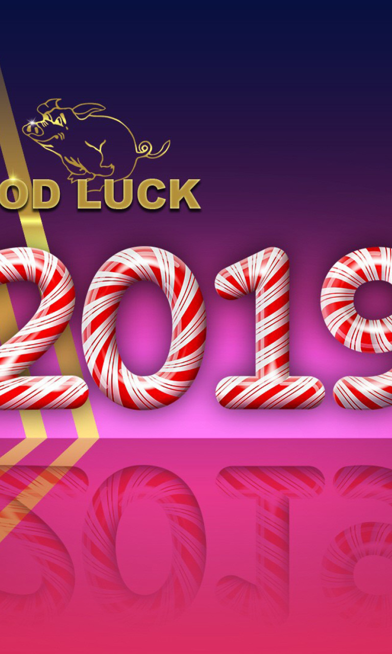 Good Luck in New Year 2019 wallpaper 768x1280