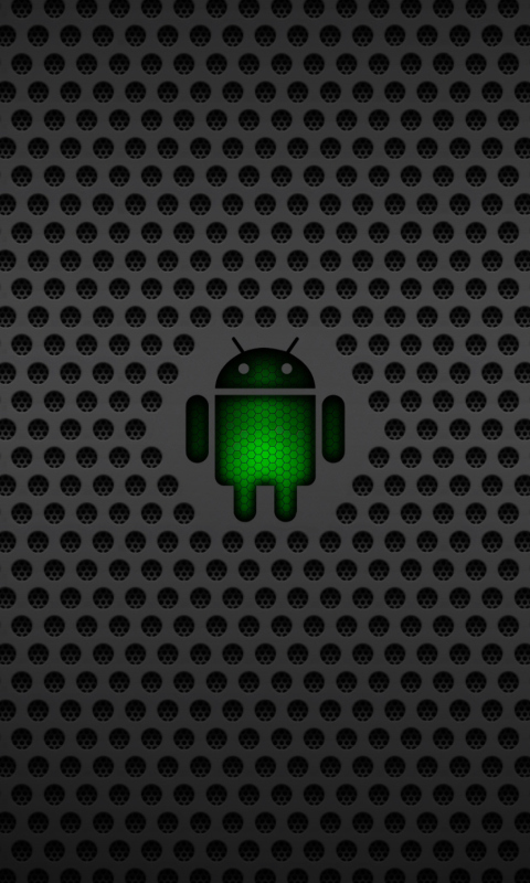 Screenshot №1 pro téma Android Google 480x800