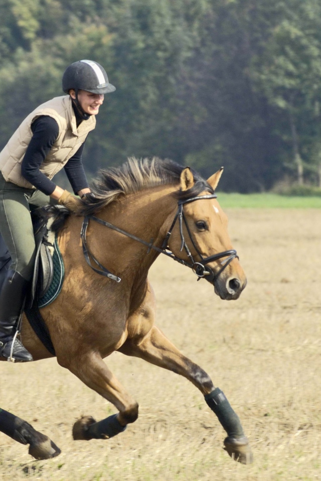 Обои Horse Ride 640x960