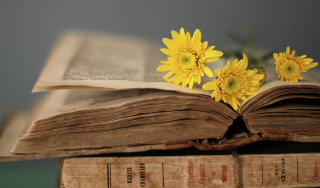 Old Book And Yellow Daisies wallpaper 1024x600