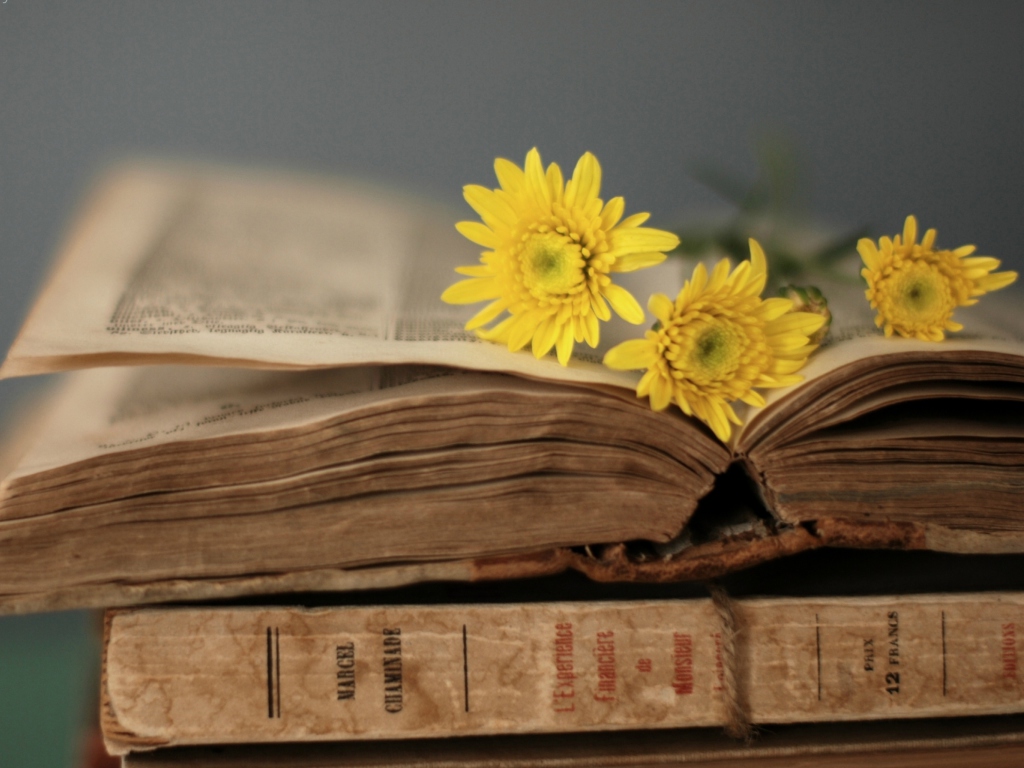 Old Book And Yellow Daisies wallpaper 1024x768