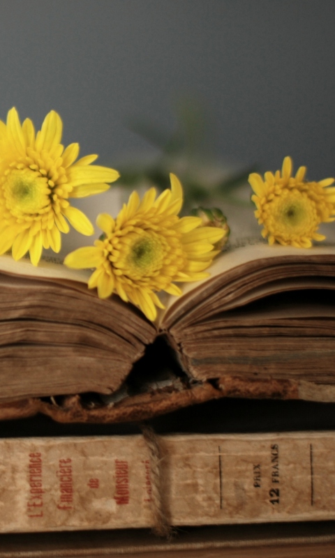 Old Book And Yellow Daisies wallpaper 480x800