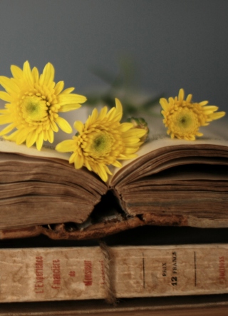 Old Book And Yellow Daisies - Obrázkek zdarma pro 480x800