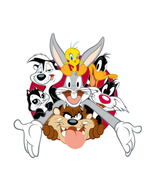 Looney Tunes - Obrázkek zdarma pro 480x640