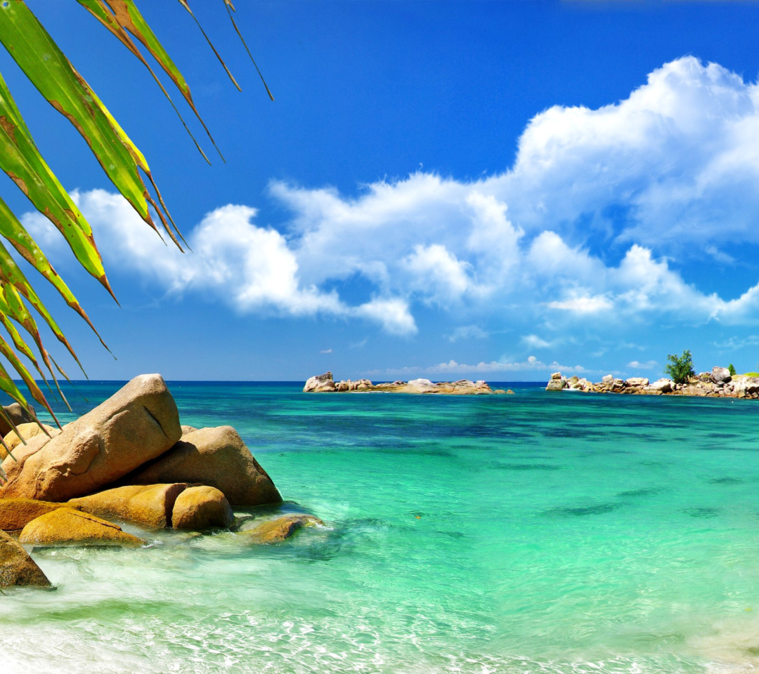 Aruba Luxury Hotel and Beach wallpaper 1080x960