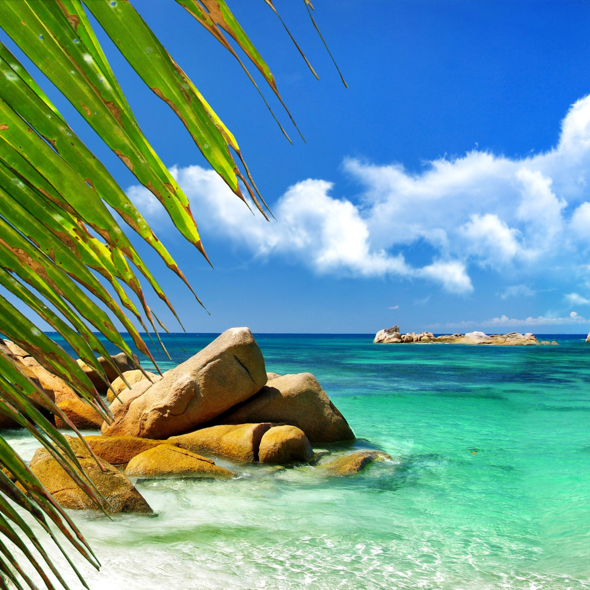Обои Aruba Luxury Hotel and Beach 2048x2048