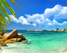 Обои Aruba Luxury Hotel and Beach 220x176