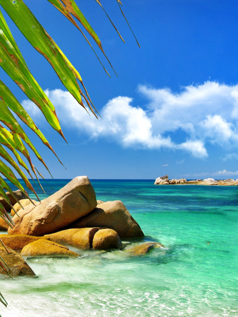 Sfondi Aruba Luxury Hotel and Beach 480x640