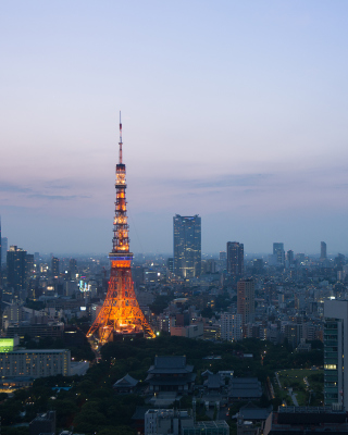 Twilight in Tokyo Background for 768x1280