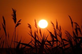 Sun Going Down - Obrázkek zdarma pro Samsung Galaxy Tab 3 8.0