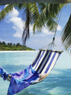 Das Hammock Under Palm Tree Wallpaper 240x320