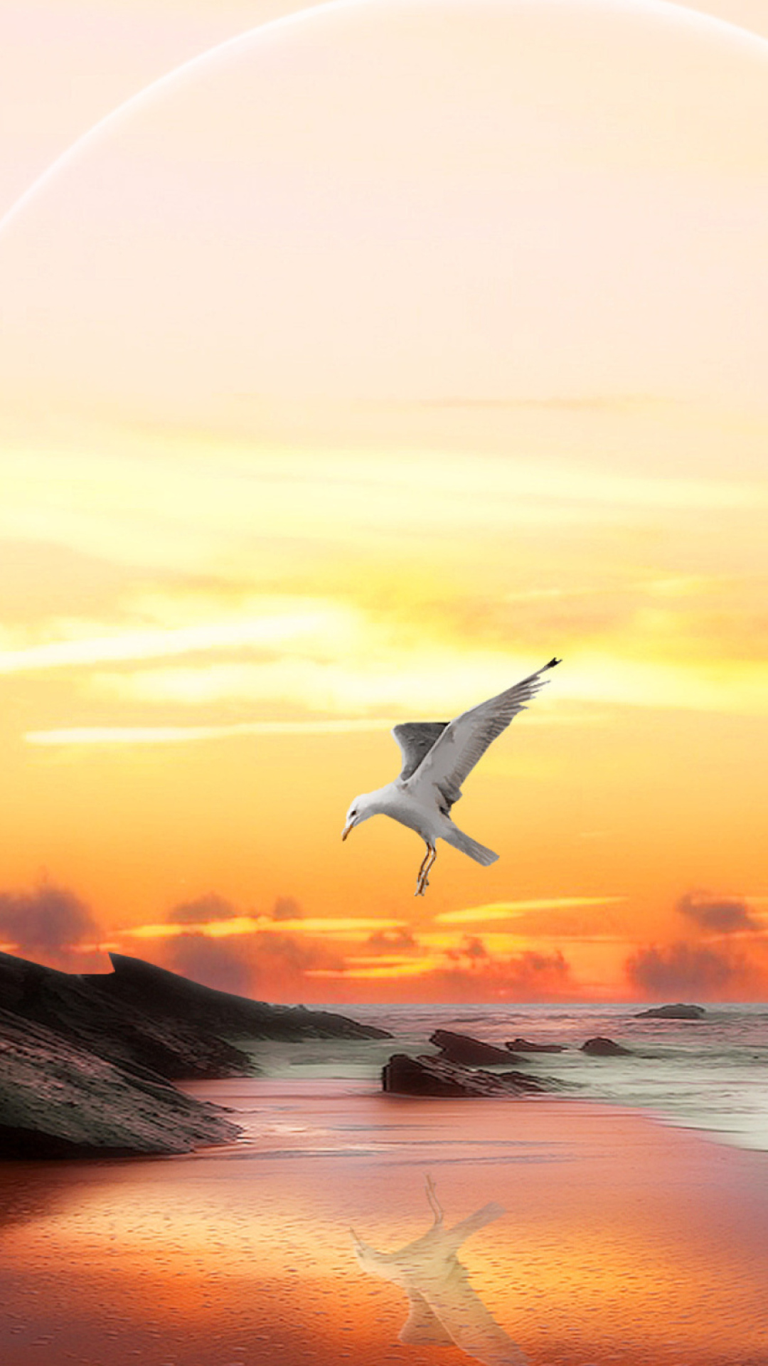 Sfondi Seagull At Sunset 1080x1920