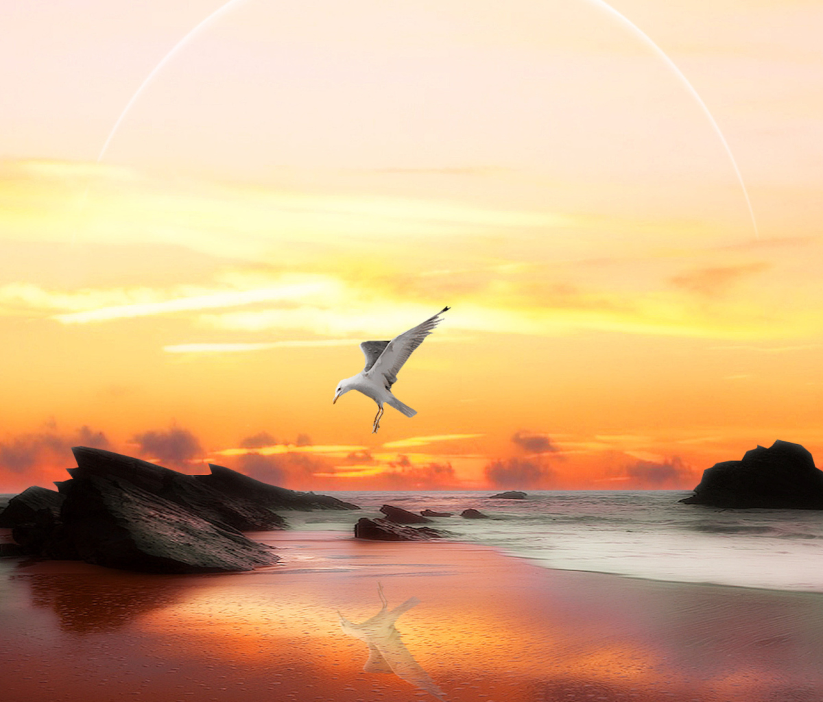 Screenshot №1 pro téma Seagull At Sunset 1200x1024