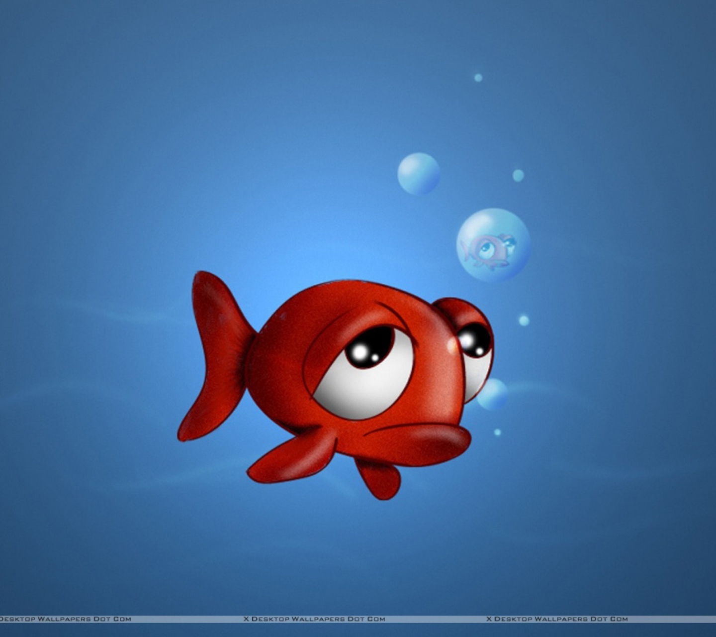 Fondo de pantalla Sad Fish 1440x1280