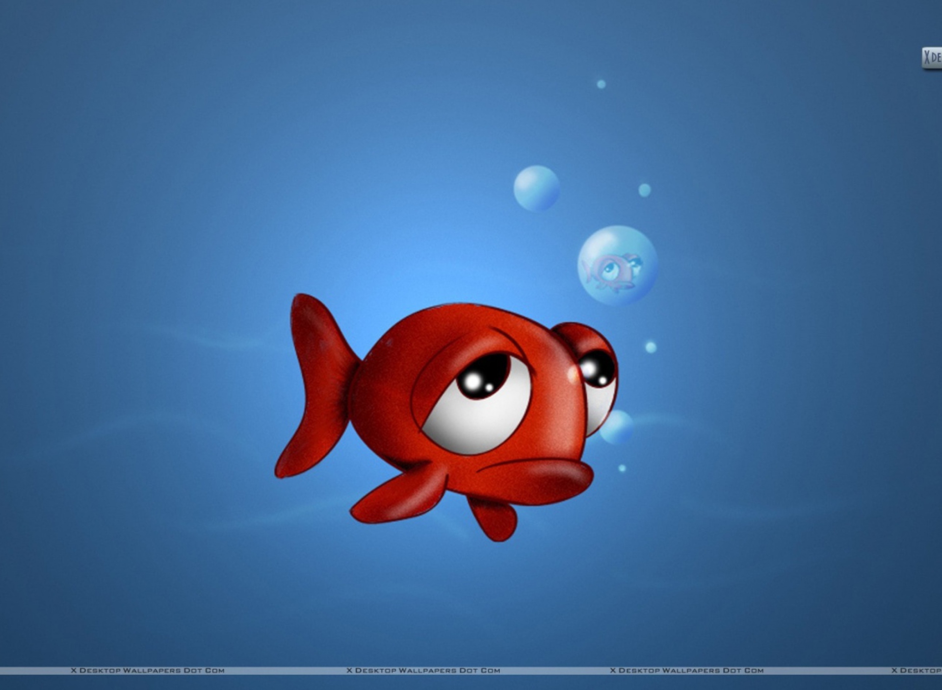 Screenshot №1 pro téma Sad Fish 1920x1408