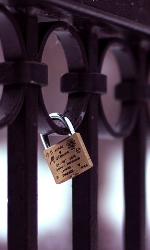 Screenshot №1 pro téma Forever Love Lock 480x800