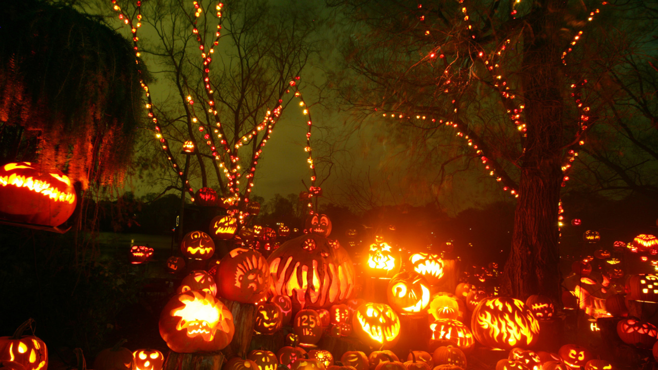 Das Halloween Pumpkins Wallpaper 1280x720