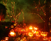Fondo de pantalla Halloween Pumpkins 176x144