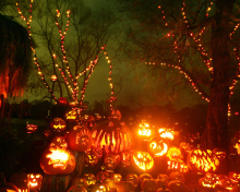 Screenshot №1 pro téma Halloween Pumpkins 220x176