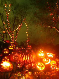 Screenshot №1 pro téma Halloween Pumpkins 240x320