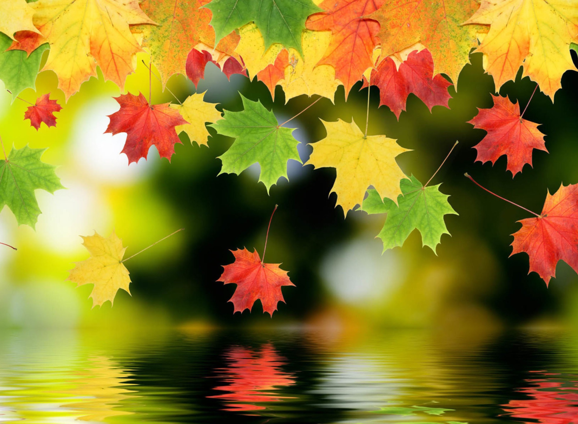 Das Falling Leaves Wallpaper 1920x1408