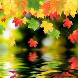 Falling Leaves - Obrázkek zdarma pro iPad Air
