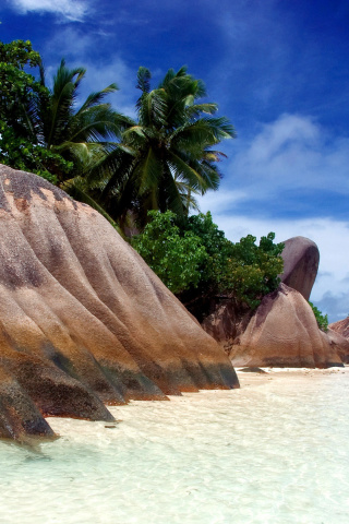 Screenshot №1 pro téma Seven Mile Beach, Grand Cayman 320x480