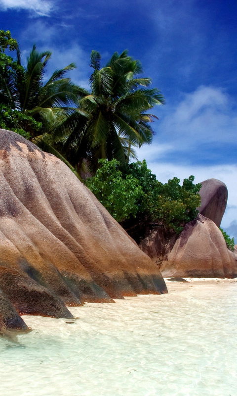 Screenshot №1 pro téma Seven Mile Beach, Grand Cayman 480x800