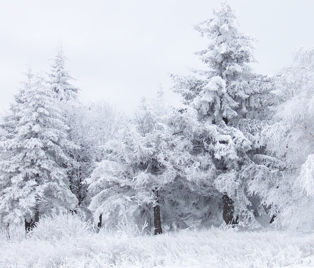 Shipka Pass Balkan Mountains wallpaper 1200x1024