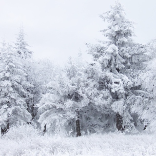 Shipka Pass Balkan Mountains sfondi gratuiti per iPad mini 2