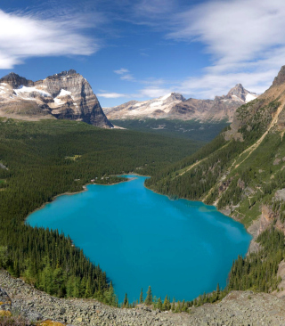 Canada Landscape - Obrázkek zdarma pro Nokia Lumia 1520