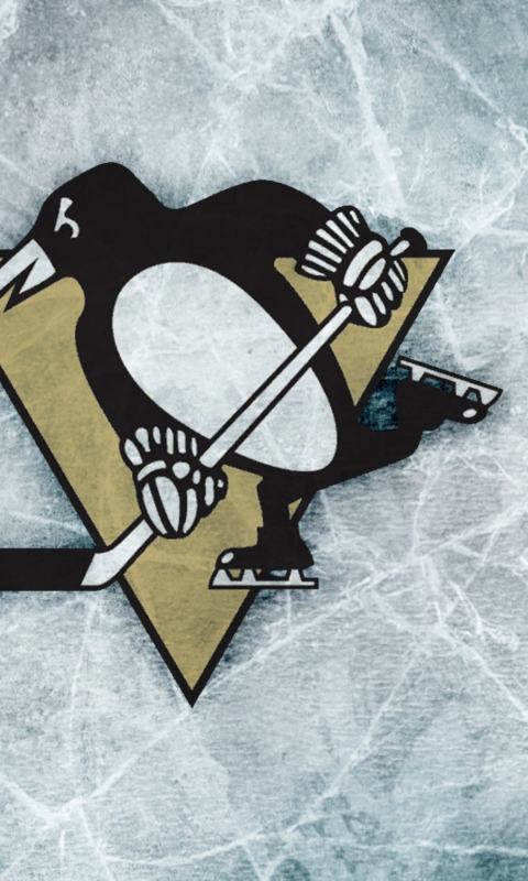 Screenshot №1 pro téma Sports - Nhl - Pittsburgh Penguins 480x800